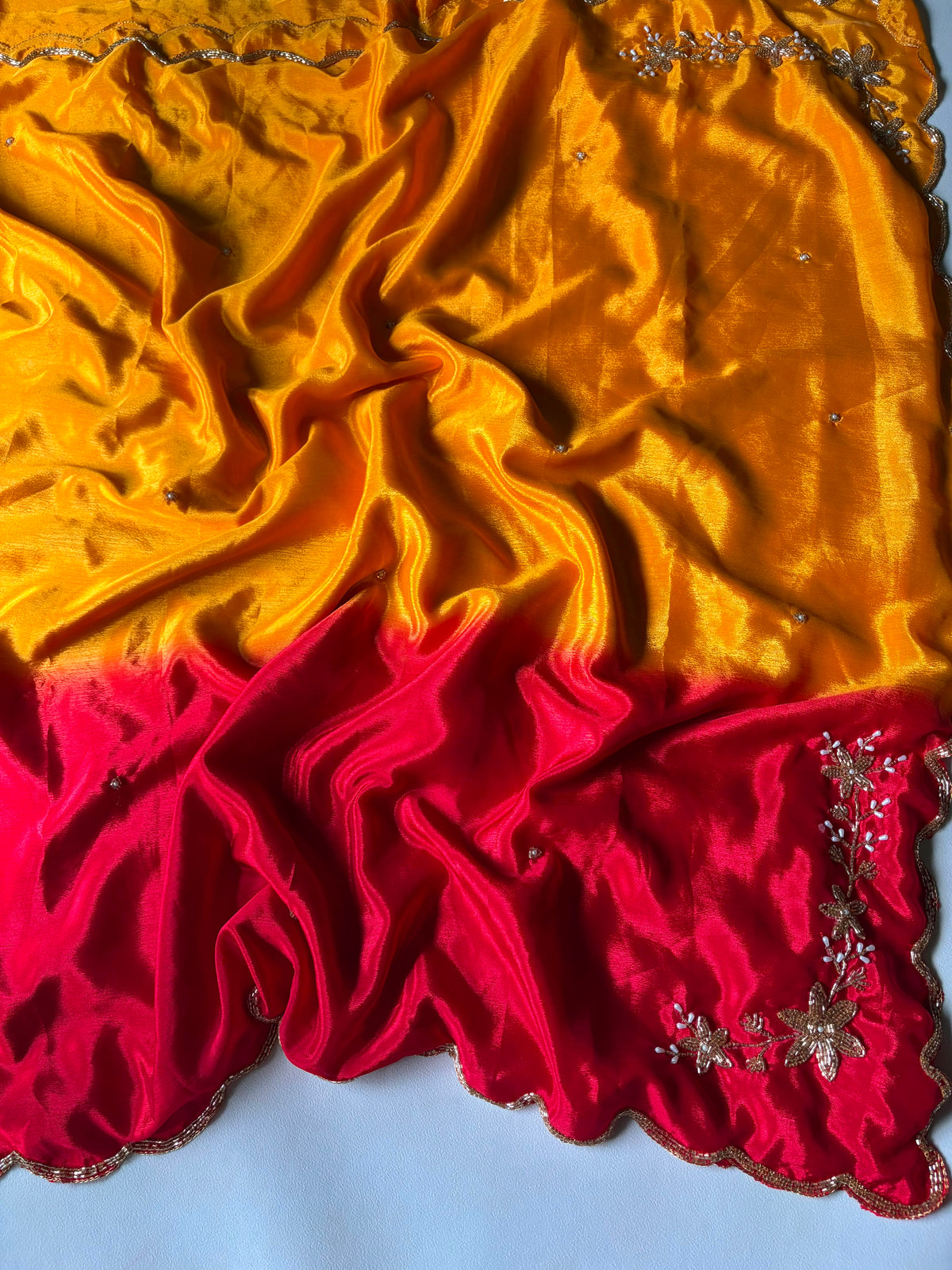 Chinnon dual shade hand work saree ✨