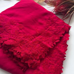 Soft organza scalp work saree